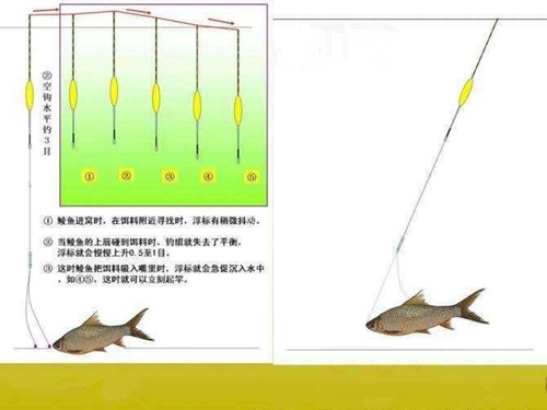 水库钓土鲮鱼的技巧_WWW.YUJUCEPING.COM