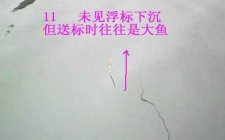 怎么分辨鱼咬钩的浮漂漂相