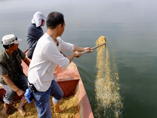 野钓打窝要注意什么_WWW.YUJUCEPING.COM