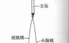 台钓的基本特征