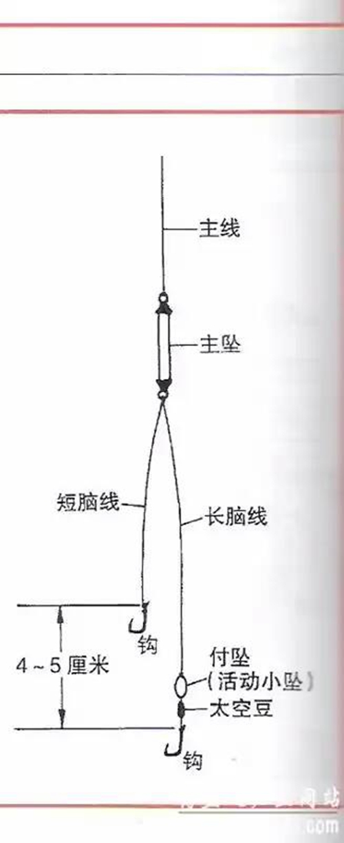 台钓的基本特征_WWW.YUJUCEPING.COM