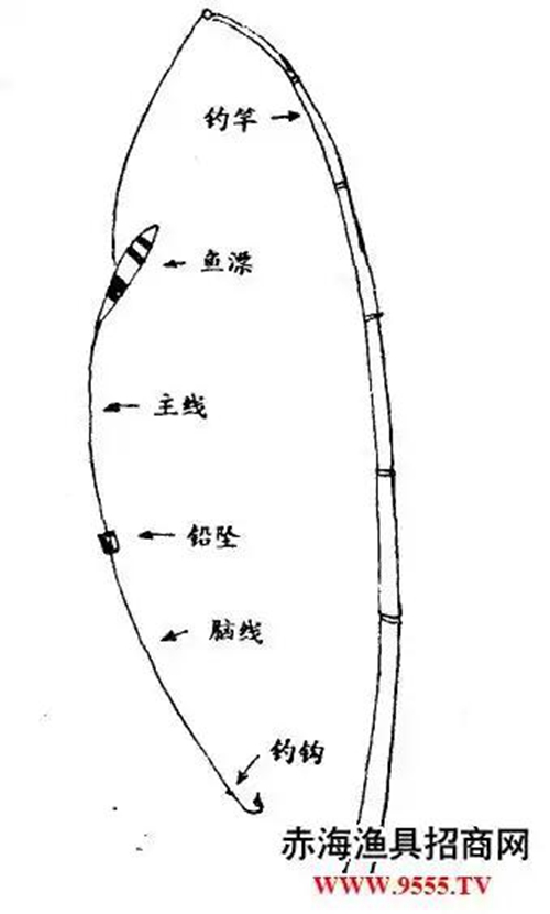 台钓的基本特征_WWW.YUJUCEPING.COM
