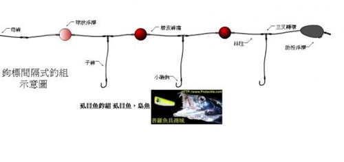 常见的海钓钓组_WWW.YUJUCEPING.COM