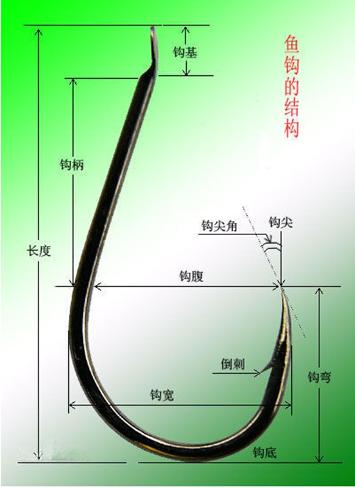 鱼钩基本知识分享_WWW.YUJUCEPING.COM