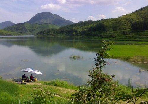 夏天水草台钓鲫鱼技巧_WWW.YUJUCEPING.COM