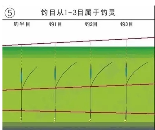 无钩调漂方法图解_WWW.YUJUCEPING.COM