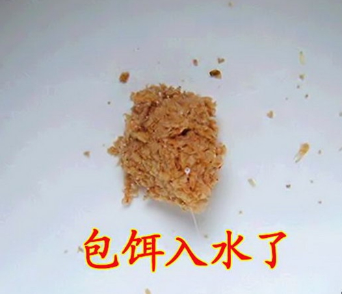 鱼塘包食钓法钓组选择_WWW.YUJUCEPING.COM