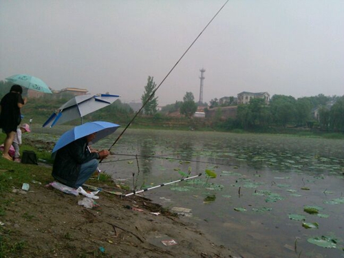 下雨天钓鱼无漂钓法技巧_WWW.YUJUCEPING.COM