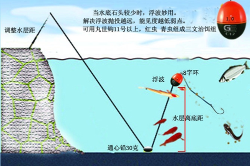 分享蚂蚁上树钓鱼技巧_WWW.YUJUCEPING.COM