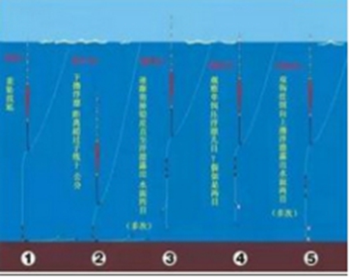 钓鱼找底误区你中了几招_WWW.YUJUCEPING.COM
