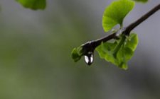 秋天钓鱼怎么应对雨后水质变化所带来的影响