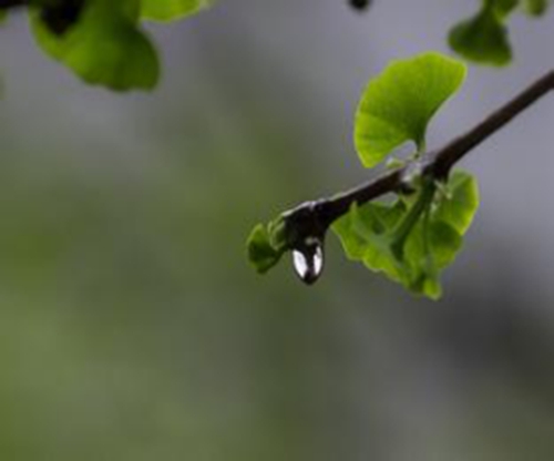 秋天钓鱼怎么应对雨后水质变化所带来的影响_WWW.YUJUCEPING.COM