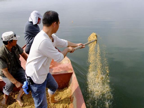 浅水钓鱼撒饵及钓点选择_WWW.YUJUCEPING.COM