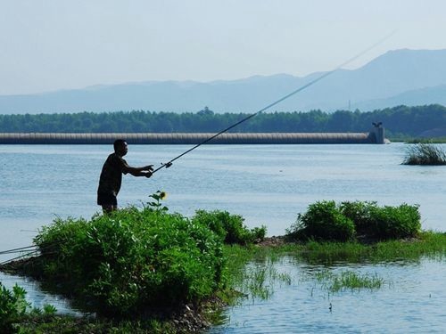 野钓鳊鱼用饵打窝及钓法总结_WWW.YUJUCEPING.COM